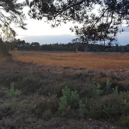 Dennenhuis Vaassen Luaran gambar