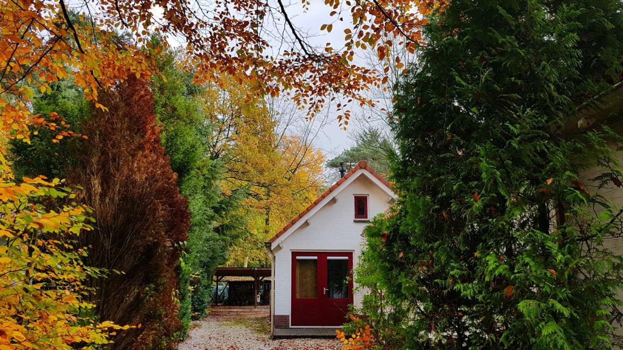 Dennenhuis Vaassen Luaran gambar